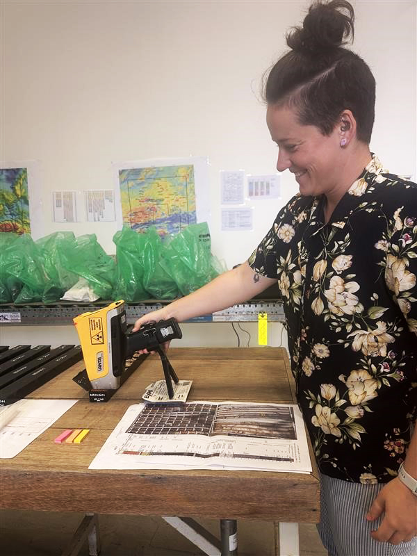 Collecting portable XRF downhole geochemistry from the top of a completed drillhole