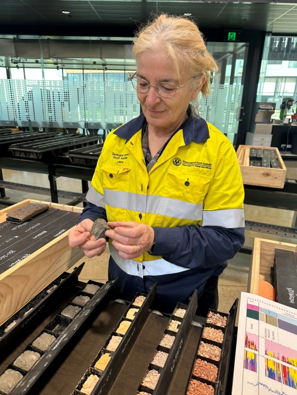 A geologist selecting suitable palynology samples
